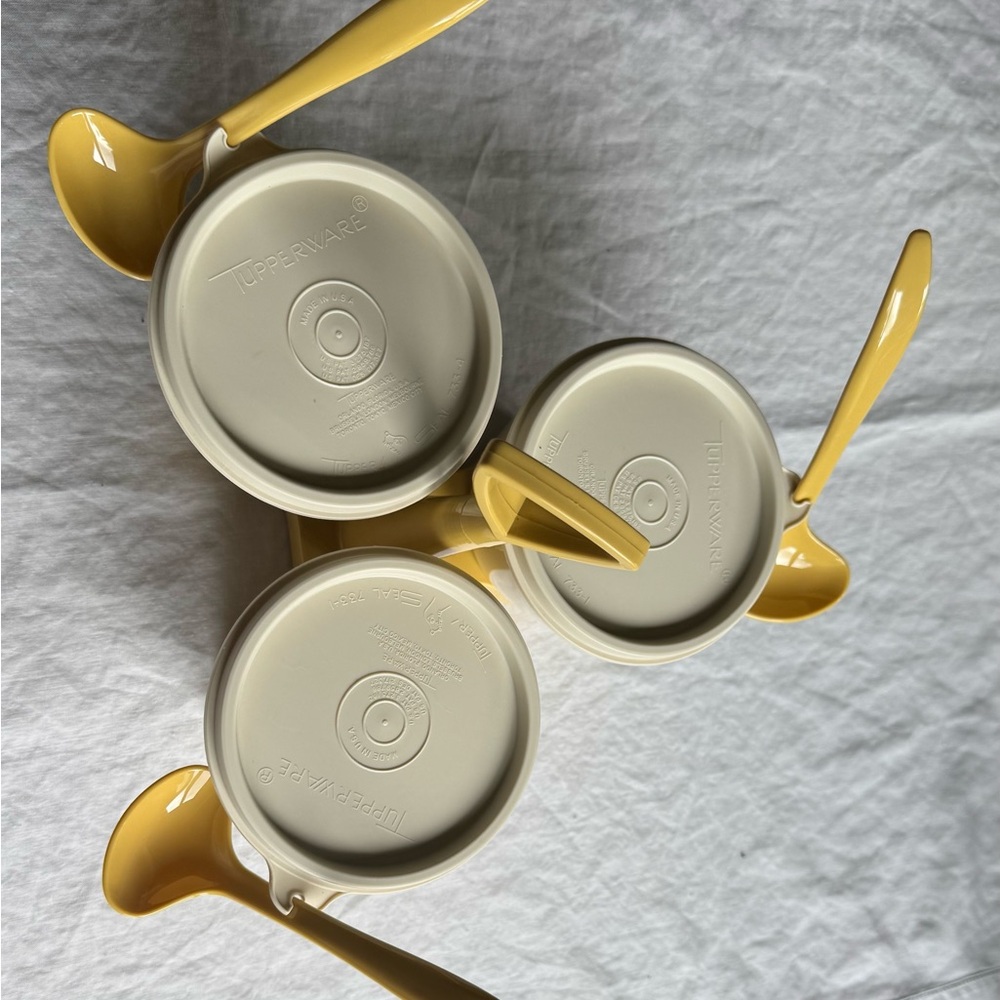 Tupperware condiment / container caddy